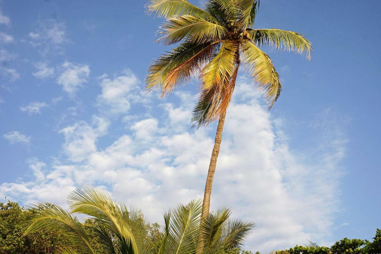 Villa Picasso Playa Santa Teresa  Exterior foto